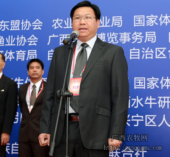 自治区副主席黄日波宣布开幕