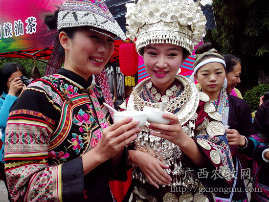 油茶满园香，民族姑娘人更美