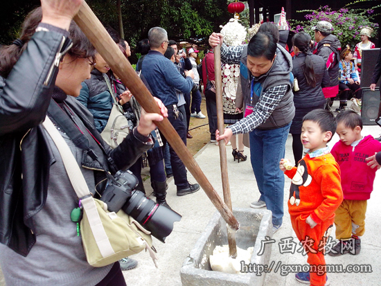 拾趣：市民亲自体验舂米之乐
