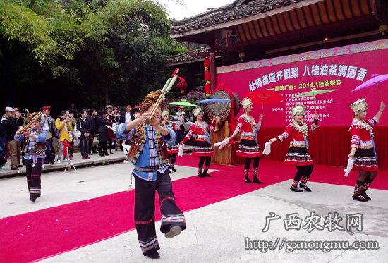 民族歌舞表演，精彩纷呈