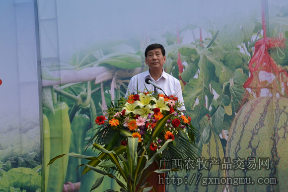 广西区农业厅厅长谢泽宇致辞