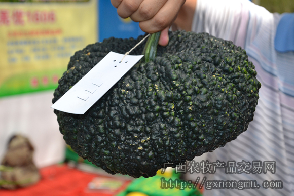 蔬菜新品种展示